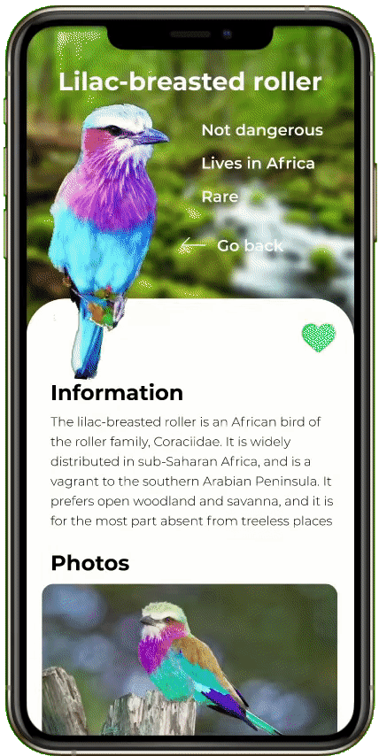 App